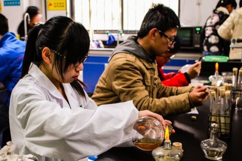 微生物作畫 科學和藝術的巧妙碰撞