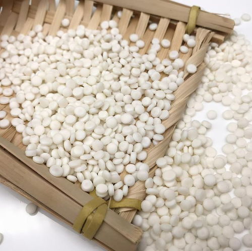生物基環保材料成未來發展主要方向 為何各大企業都選這個材料