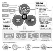 走過小時代 遇上森林之星