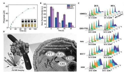 Matter綜述 磷基多功能納米材料的設計制備及生物醫學應用
