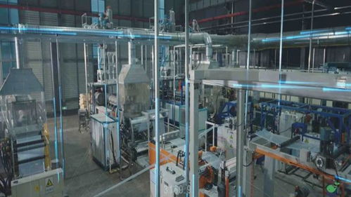 陳珂 用生物基材料為綠色經濟發展助力