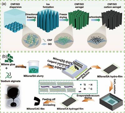 天津科技大學司傳領、徐婷/南京林業大學蔡旭敏《Aggregate》封面論文:用于先進超級電容器的生物質基材料
