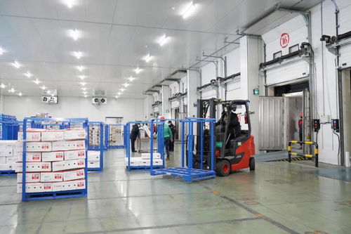 守護(hù)百姓餐桌 這家企業(yè)交上一份滿意的 抗疫 答卷