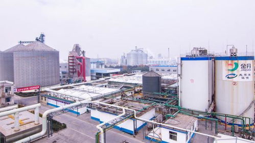 首批8家河南省產(chǎn)業(yè)創(chuàng)新中心確定 各有啥使命