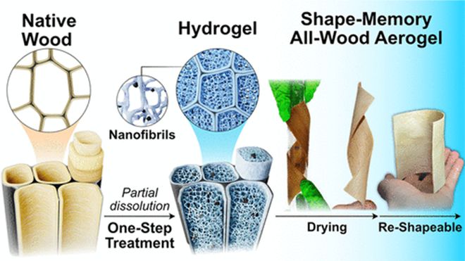 《ACS Nano》瑞典皇家理工大學李媛媛:木材細胞壁納米重組制備堅固的形狀記憶木質纖維素氣凝膠!