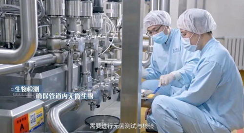 奶粉工廠生產經理的 7雙鞋
