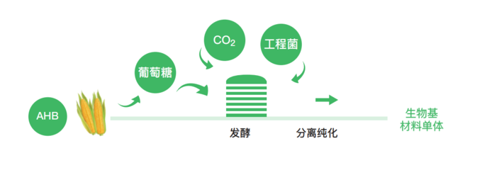 華恒生物萬噸級生物基1,3-PDO、丁二酸產線實現量產!