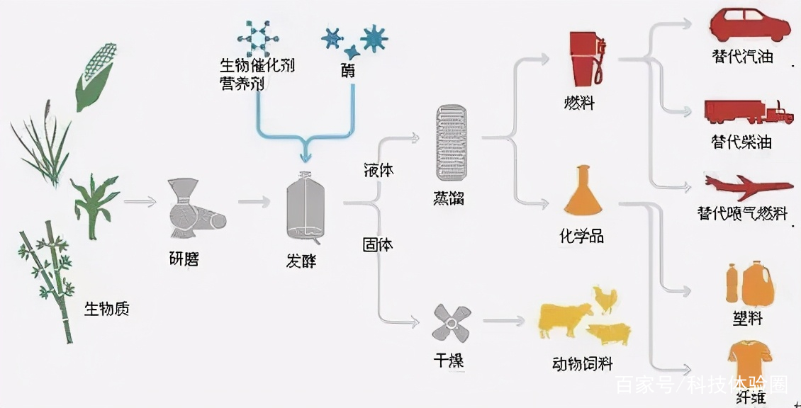 頻頻受到全球各大品牌青睞,生物基材料究竟有何來頭?
