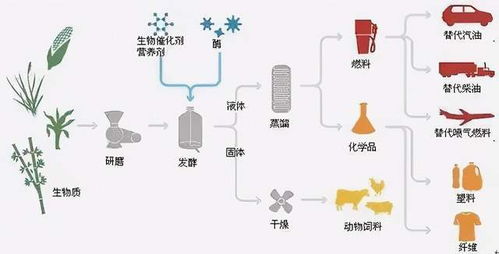 生物基材料 是什么 不妨了解一下,真環保的新材料