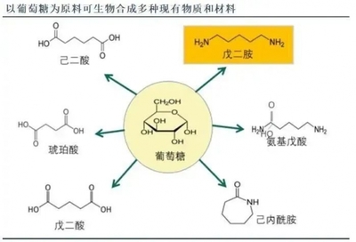 北斗智慧能源分享|化石替代需求強烈 生物基材料市場空間廣闊