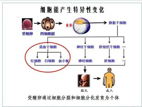 衢州市高一生物新教材教學研究暨紹興市卓明陽名師工作室強基計劃教學研討活動