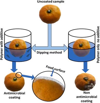 華中大楊光教授團隊《Food Hydrocoll.》綜述:用于活性食品包裝的生物基材料的研究進展