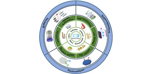 人才強校 | 理學院應用物理系羅炳程教授在生物碳基功能材料研究中取得新進展