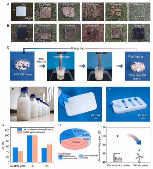 陳朝吉教授課題組在chemical reviews advanced materials等國(guó)際高水平期刊發(fā)表生物質(zhì)基低碳功能材料及綠色儲(chǔ)能材料系列研究成果