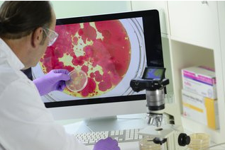抗菌陽(yáng)離子丙烯酸酯基雜化涂料,可防止微生物污染