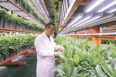 提質增效 向“新”圖強