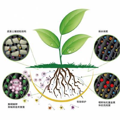 時科根滿作炭基微生物菌劑改良土壤促根養根