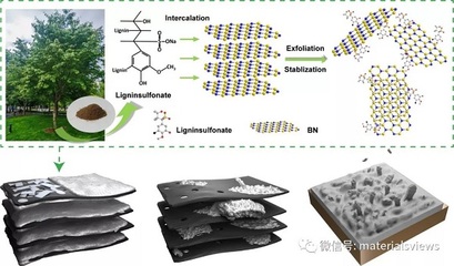 Small Methods: 生物質材料助力高導熱高離子可及性的三維鋰金屬負極
