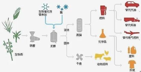 楹鼎:生物質新材料引領者 破題綠色經濟