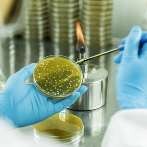 招商局集團領航生物基聚酰胺創新突破 打造生物經濟新引擎