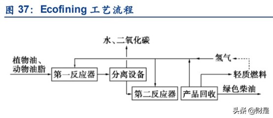 生物柴油龍頭卓越新能研究報告