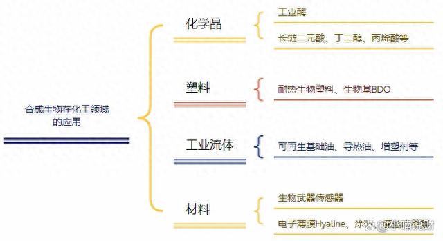 合成生物技術在環保,醫療和食品制造等領域有著廣泛的應用前.