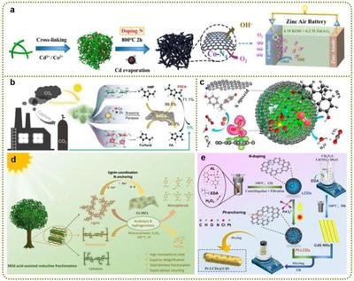 天津科技大學司傳領、王冠華等Adv. Colloid Interfac.綜述: 生物質衍生碳基單原子催化劑的制備及應用