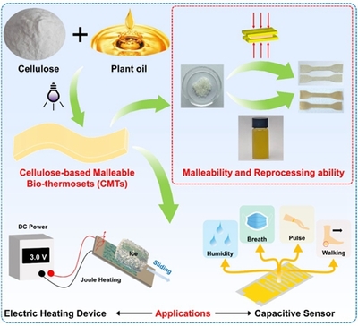 化工院教師在《Advanced Functional Materials》上發表生物基功能性材料系列研究成果