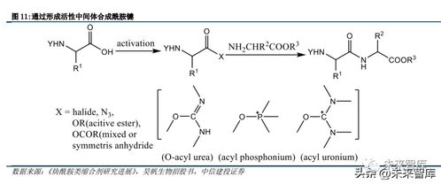 多肽合成試劑行業研究 迎加速發展機遇