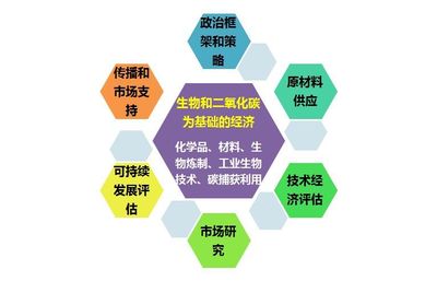 【行業資訊】nova-Institute總經理帶您分享全球生物基材料和化學品最新發展現狀