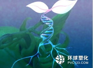 生物基路徑生產工程樹脂原料技術開發中