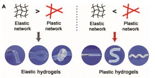 生物綜述系列 探索生物基高分子材料力學特性