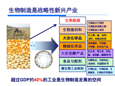 生物制造國內外狀況.ppt