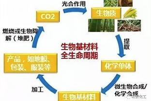 TDI甲苯二異氰酸酯價格走勢
