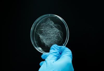 編織未來!態創生物以合成生物制造蛛絲蛋白,助推生物基新材料發展