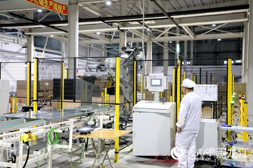 黑龍江佳木斯 以數字化探路發電玻璃 智 造