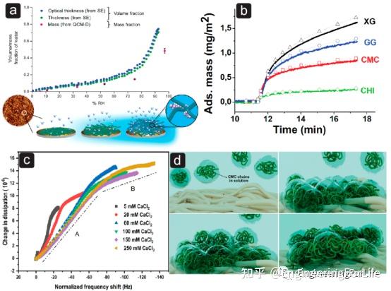 if72087的頂級綜述生物基納米材料先進材料界面相互作用