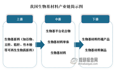 中國生物基材料行業發展深度研究與投資戰略預測報告(2022-2029年)