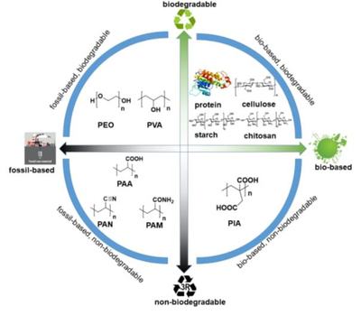 東華大學(xué)烏婧/王華平團(tuán)隊(duì)Prog.Polym.Sci.:生物基可降解超吸水高分子材料最新綜述