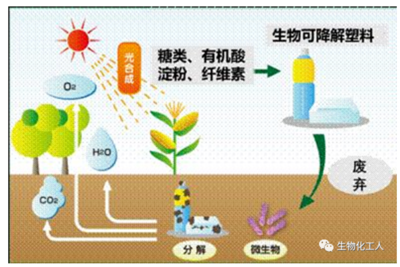 一篇文章看懂高分子材料可循環(huán)、可再生、可降解的區(qū)別