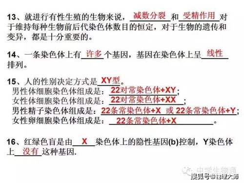 高中生物 復習資料,基礎知識一篇打盡