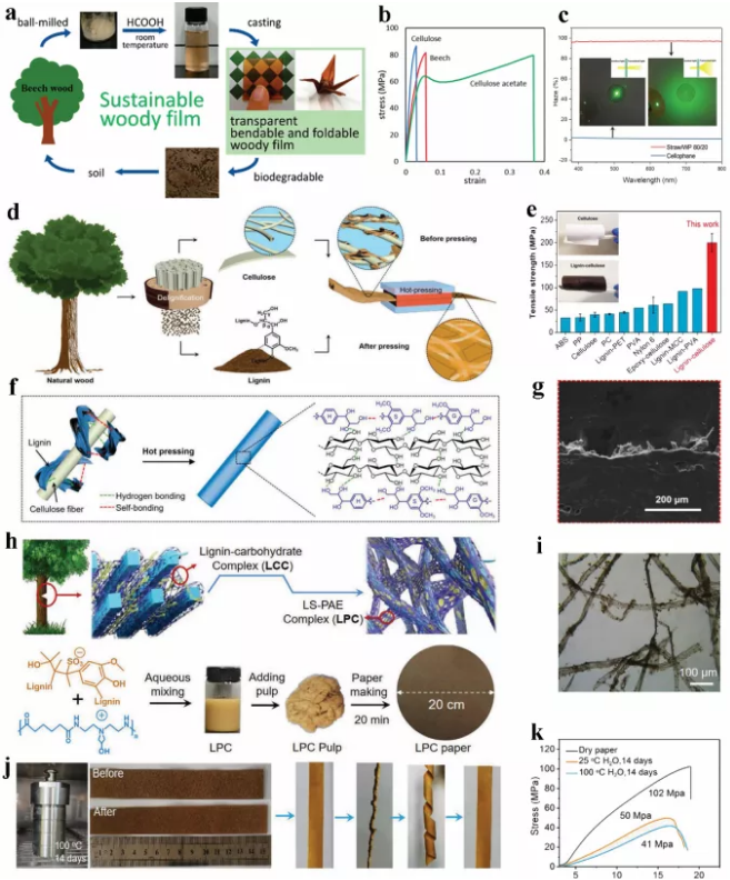 green chemistry綜述:先進,多功能木質素基生物降解復合膜材料助力可