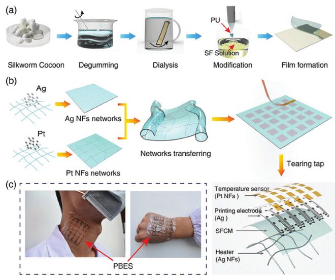 廈門大學劉向陽團隊《AFM》:納米黃金粒子“出手” !蠶絲變身超快蛋白質基憶阻器