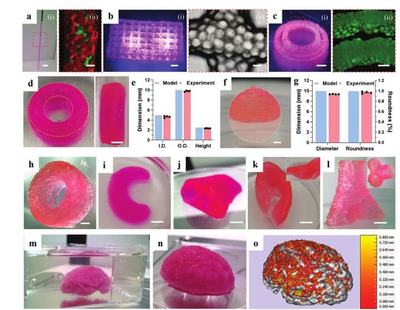 清華大學張婷、熊卓團隊:用于3D打印的載細胞微凝膠基雙相生物墨水
