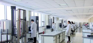 提前開工 全國最大的生物基復合材料項目開工啦