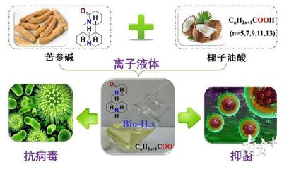 修護(hù)醫(yī)護(hù)人員“酒精手”,哈工大(深圳)科研團(tuán)隊(duì)研制新產(chǎn)品