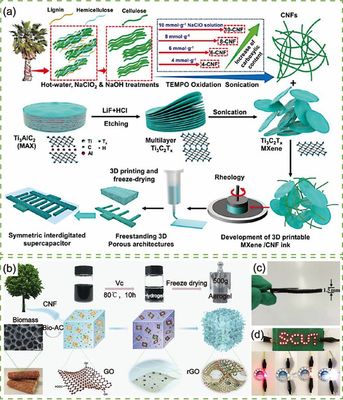 天津科技大學(xué)司傳領(lǐng)、徐婷/南京林業(yè)大學(xué)蔡旭敏《Aggregate》封面論文:用于先進(jìn)超級(jí)電容器的生物質(zhì)基材料