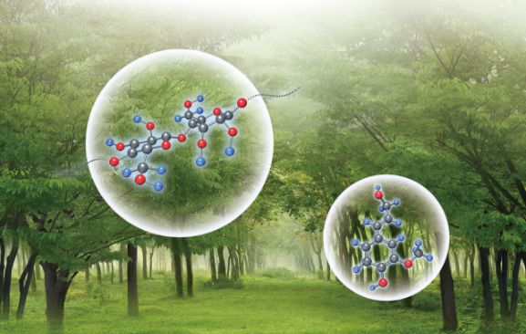 儲富祥生物基高分子新材料